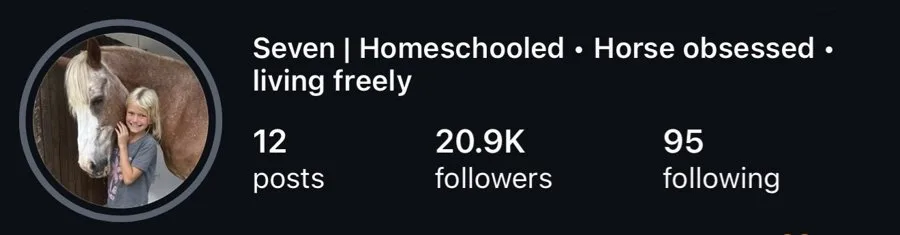 Seven's profile at 20.9K followers