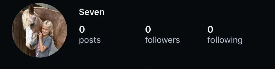 Seven's profile at 0 followers